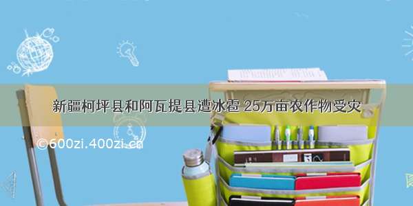 新疆柯坪县和阿瓦提县遭冰雹 25万亩农作物受灾