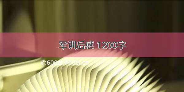 军训后感 1200字