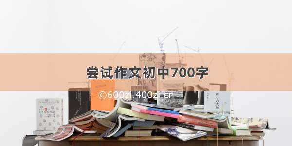 尝试作文初中700字