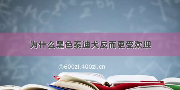 为什么黑色泰迪犬反而更受欢迎