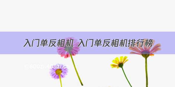 入门单反相机 入门单反相机排行榜