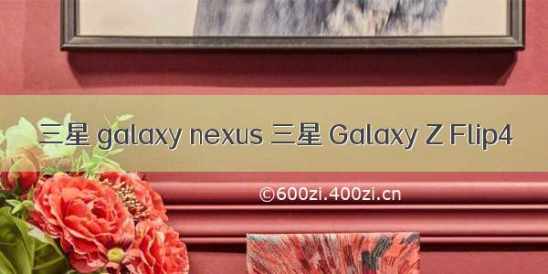 三星 galaxy nexus 三星 Galaxy Z Flip4