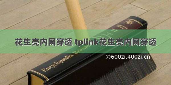 花生壳内网穿透 tplink花生壳内网穿透