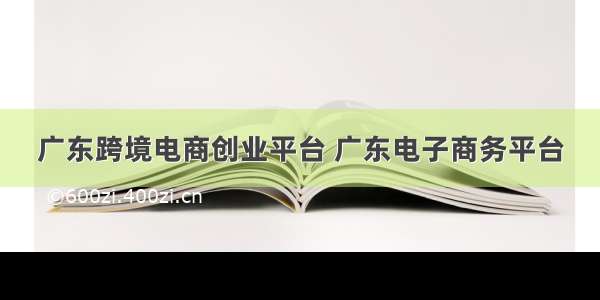 广东跨境电商创业平台 广东电子商务平台