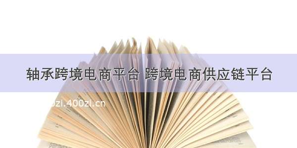 轴承跨境电商平台 跨境电商供应链平台