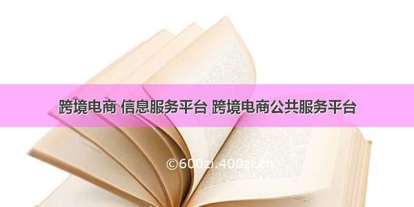 跨境电商 信息服务平台 跨境电商公共服务平台