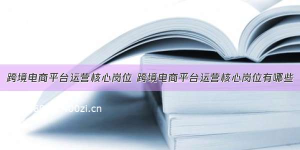 跨境电商平台运营核心岗位 跨境电商平台运营核心岗位有哪些