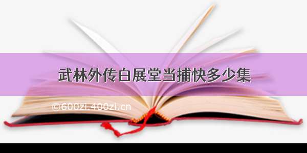 武林外传白展堂当捕快多少集