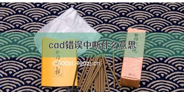 cad错误中断什么意思