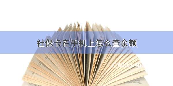 社保卡在手机上怎么查余额