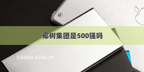 椰树集团是500强吗