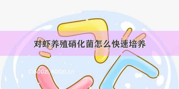 对虾养殖硝化菌怎么快速培养