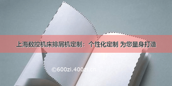 上海数控机床排屑机定制：个性化定制 为您量身打造