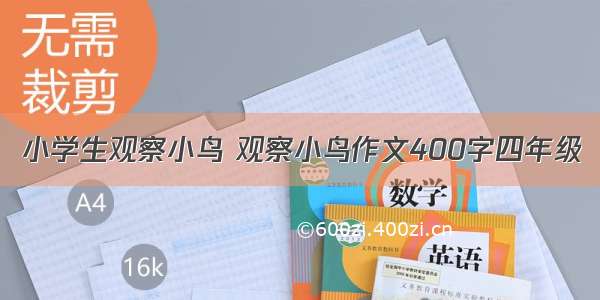 小学生观察小鸟 观察小鸟作文400字四年级