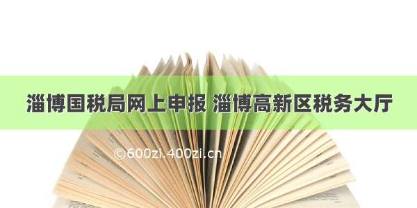 淄博国税局网上申报 淄博高新区税务大厅