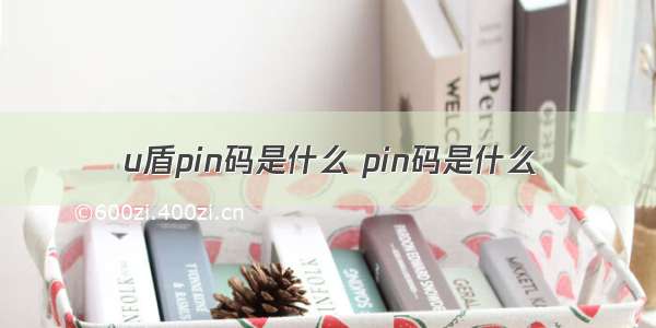 u盾pin码是什么 pin码是什么