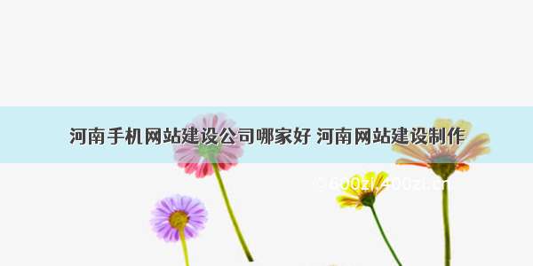 河南手机网站建设公司哪家好 河南网站建设制作