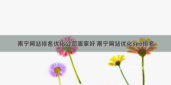 南宁网站排名优化公司哪家好 南宁网站优化seo排名