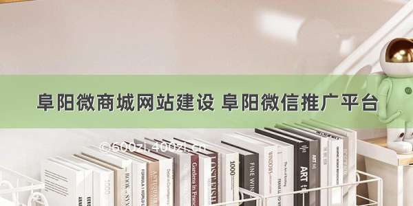 阜阳微商城网站建设 阜阳微信推广平台