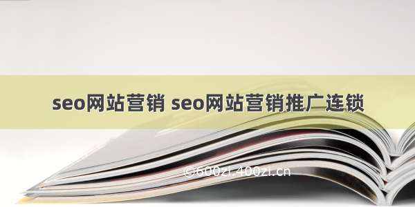 seo网站营销 seo网站营销推广连锁