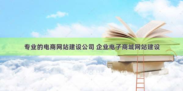 专业的电商网站建设公司 企业电子商城网站建设