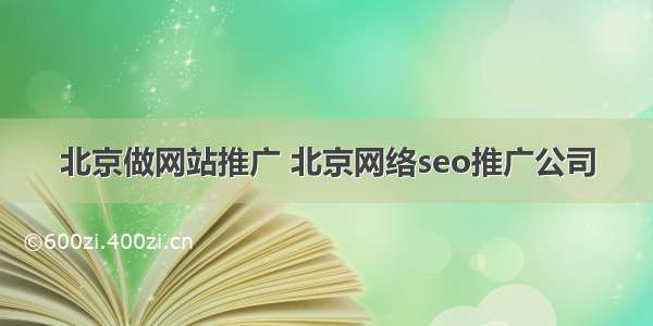 北京做网站推广 北京网络seo推广公司