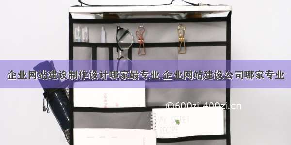 企业网站建设制作设计哪家最专业 企业网站建设公司哪家专业