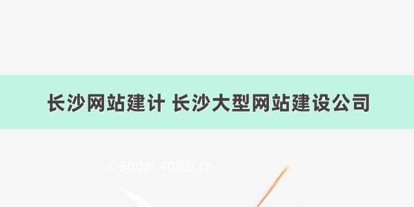 长沙网站建计 长沙大型网站建设公司