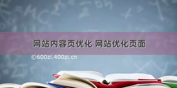 网站内容页优化 网站优化页面