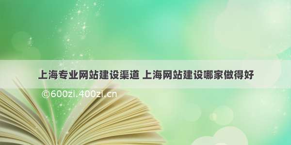 上海专业网站建设渠道 上海网站建设哪家做得好