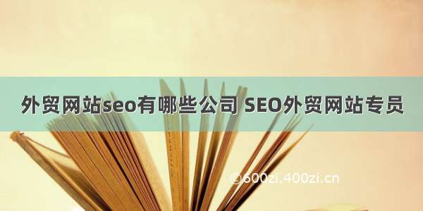 外贸网站seo有哪些公司 SEO外贸网站专员