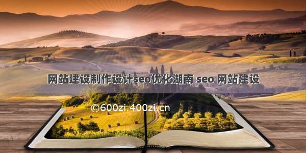 网站建设制作设计seo优化湖南 seo 网站建设