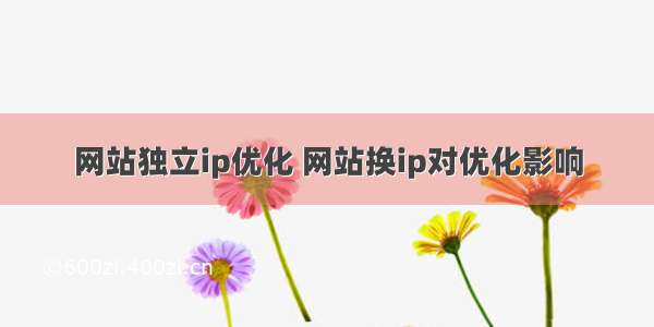 网站独立ip优化 网站换ip对优化影响