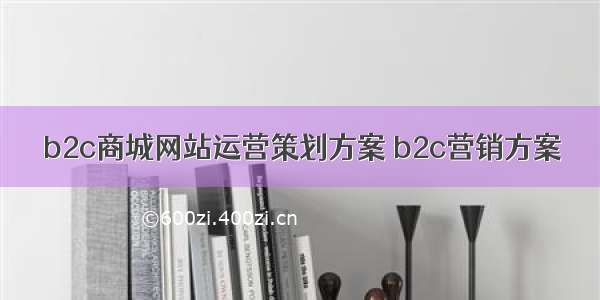 b2c商城网站运营策划方案 b2c营销方案