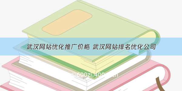 武汉网站优化推广价格 武汉网站排名优化公司