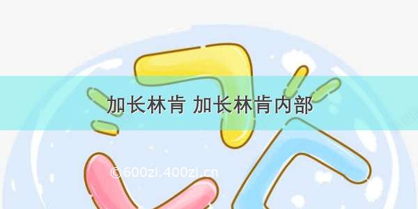 加长林肯 加长林肯内部