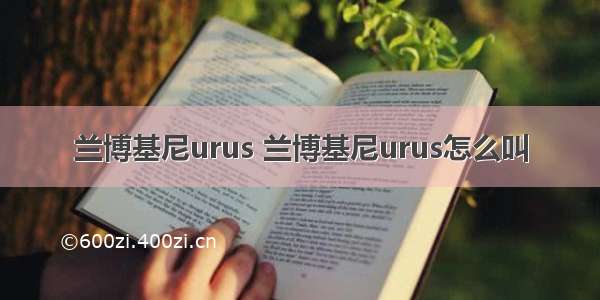 兰博基尼urus 兰博基尼urus怎么叫