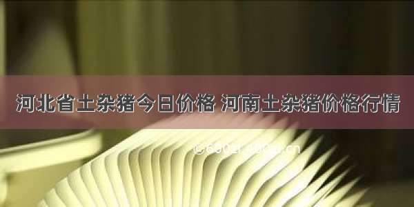 河北省土杂猪今日价格 河南土杂猪价格行情