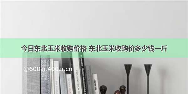 今日东北玉米收购价格 东北玉米收购价多少钱一斤