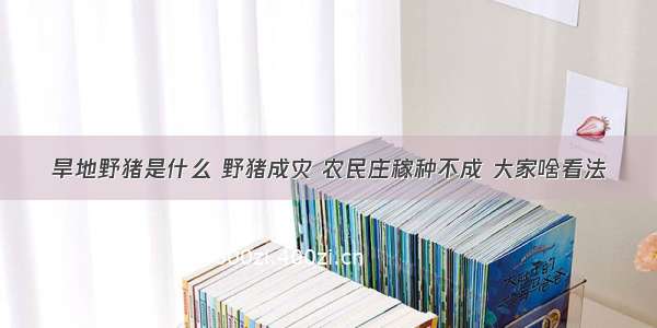 旱地野猪是什么 野猪成灾 农民庄稼种不成 大家啥看法