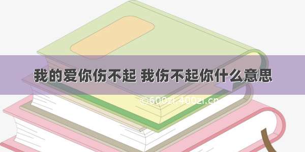 我的爱你伤不起 我伤不起你什么意思