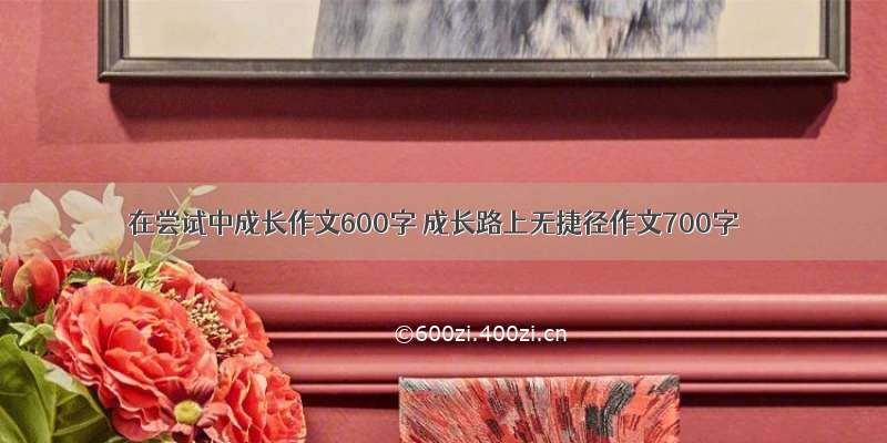 在尝试中成长作文600字 成长路上无捷径作文700字