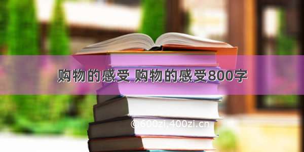 购物的感受 购物的感受800字