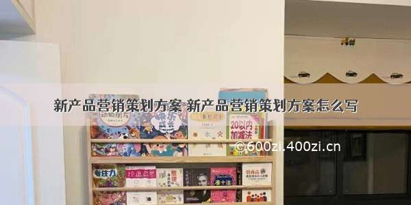 新产品营销策划方案 新产品营销策划方案怎么写