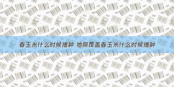 春玉米什么时候播种 地膜覆盖春玉米什么时候播种