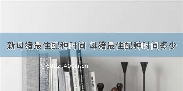 新母猪最佳配种时间 母猪最佳配种时间多少