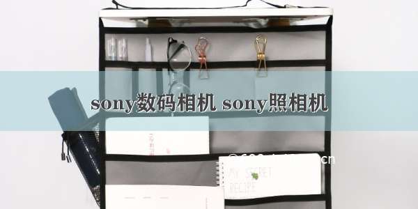 sony数码相机 sony照相机