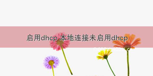 启用dhcp 本地连接未启用dhcp