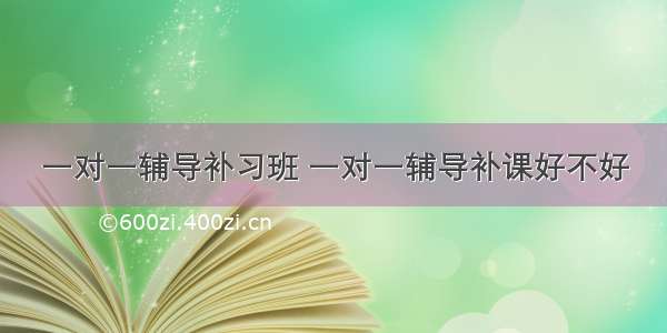 一对一辅导补习班 一对一辅导补课好不好