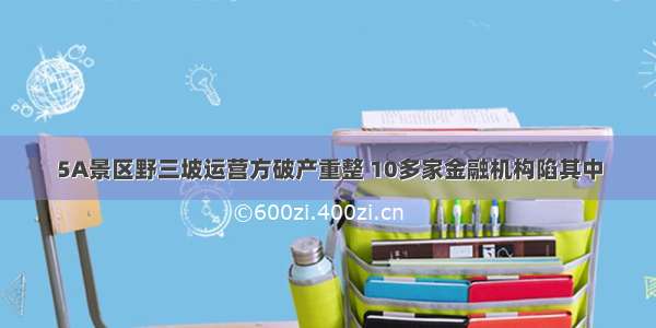 5A景区野三坡运营方破产重整 10多家金融机构陷其中